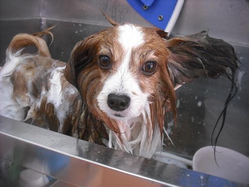 ファイル 3190-2.jpg