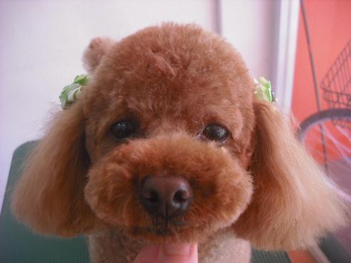 ファイル 3191-1.jpg