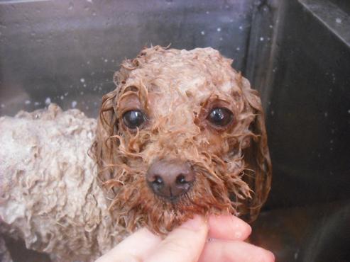 ファイル 3191-2.jpg