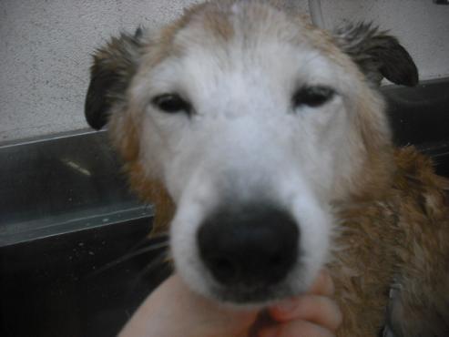 ファイル 3192-1.jpg