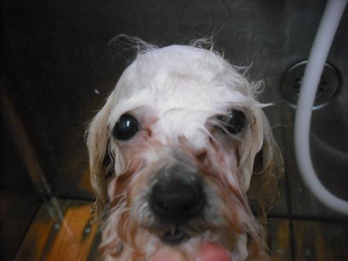 ファイル 3193-2.jpg