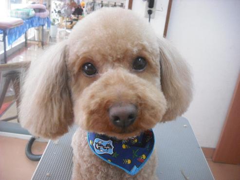 ファイル 3194-1.jpg