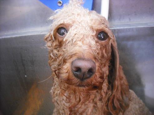 ファイル 3194-2.jpg