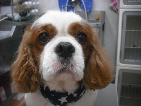 ファイル 3195-1.jpg