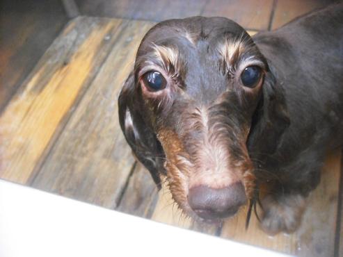 ファイル 3197-2.jpg