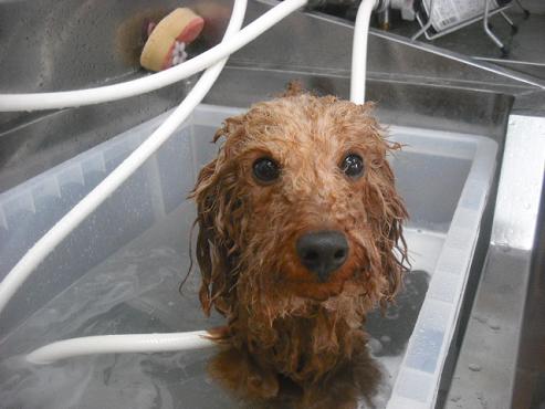 ファイル 3198-2.jpg