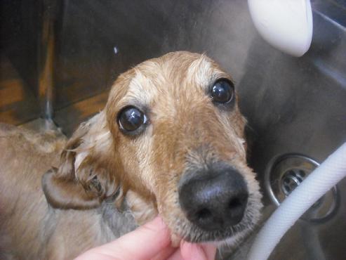 ファイル 3199-2.jpg