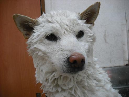 ファイル 32-2.jpg