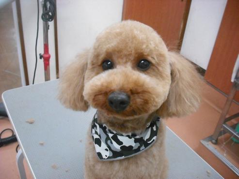 ファイル 320-3.jpg