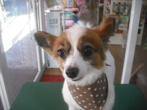 ファイル 3200-1.jpg