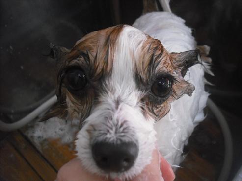 ファイル 3200-2.jpg