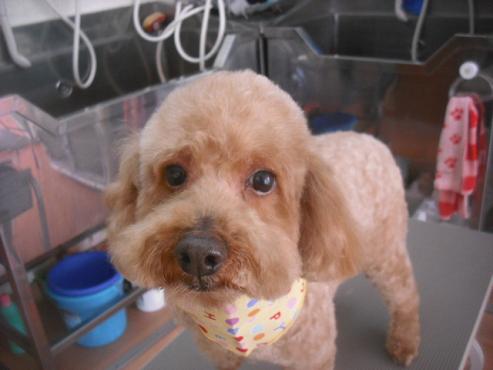 ファイル 3201-1.jpg