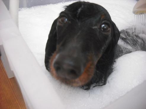 ファイル 3204-2.jpg