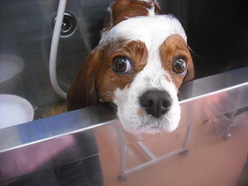 ファイル 3205-2.jpg