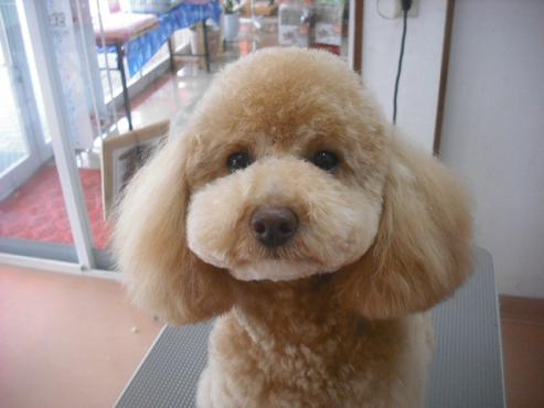 ファイル 3206-1.jpg