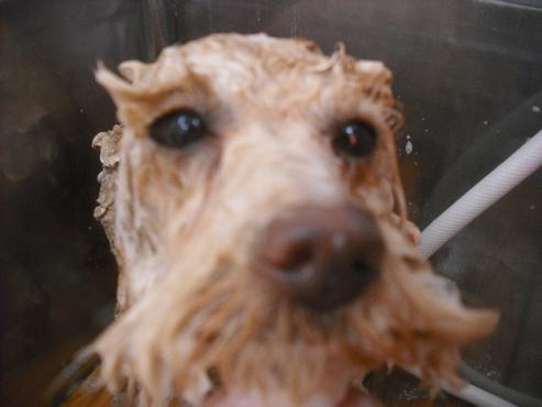 ファイル 3206-2.jpg