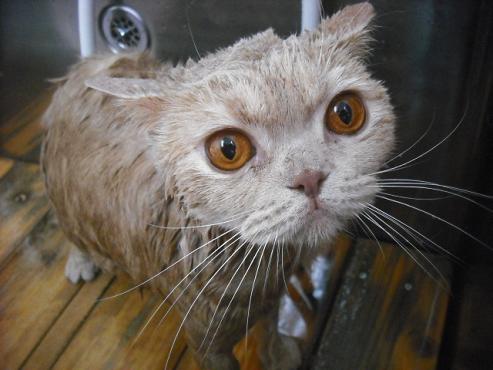 ファイル 3207-2.jpg