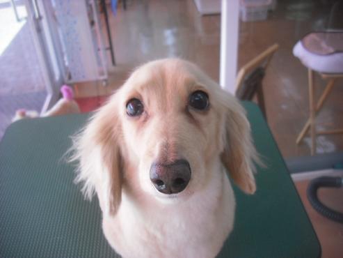 ファイル 3208-1.jpg