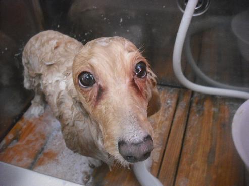 ファイル 3208-2.jpg