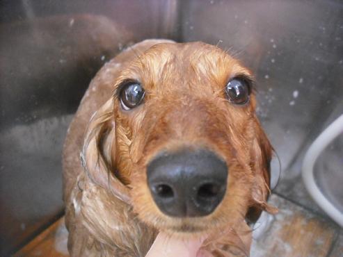 ファイル 3209-2.jpg