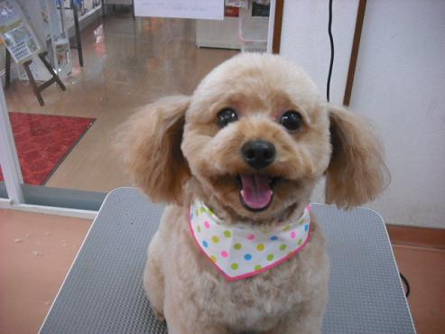 ファイル 321-1.jpg