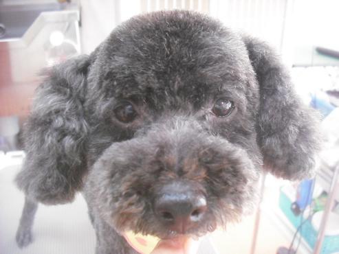 ファイル 3210-1.jpg