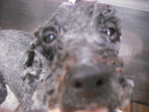 ファイル 3210-2.jpg