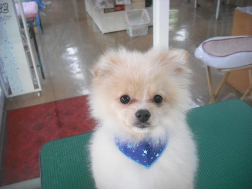 ファイル 3211-1.jpg