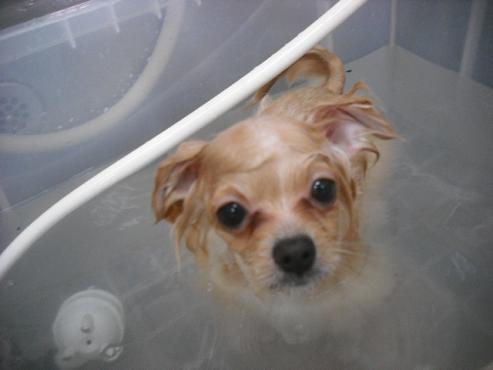 ファイル 3211-2.jpg