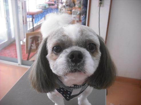 ファイル 3212-1.jpg