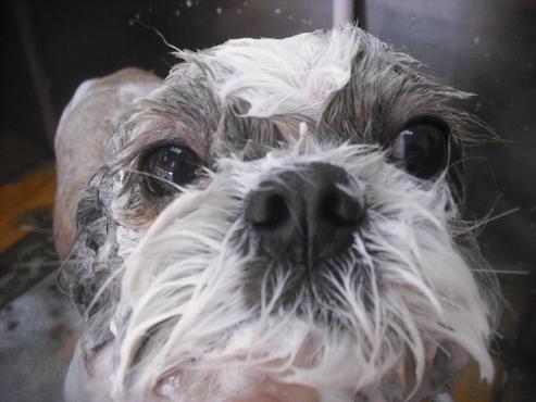 ファイル 3212-2.jpg