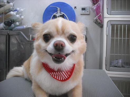 ファイル 3213-1.jpg