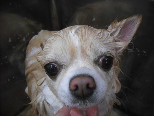 ファイル 3213-2.jpg