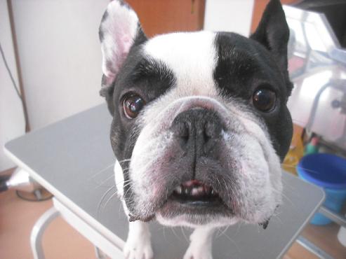 ファイル 3214-1.jpg