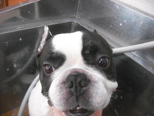 ファイル 3214-2.jpg