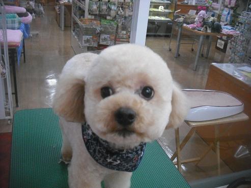 ファイル 3215-1.jpg