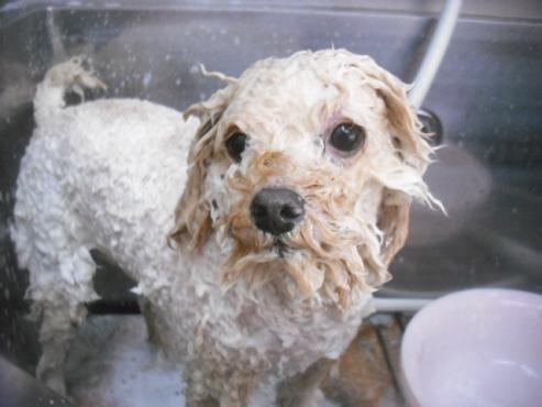 ファイル 3215-2.jpg