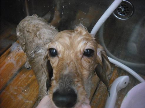 ファイル 3216-2.jpg