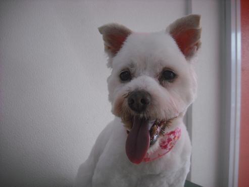 ファイル 3217-1.jpg