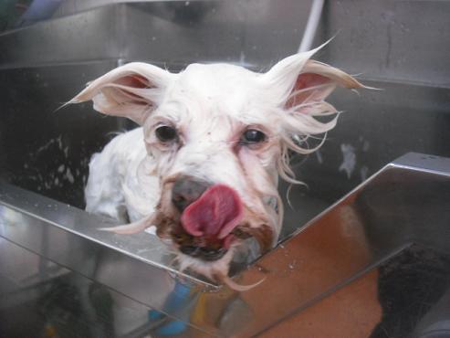 ファイル 3217-2.jpg