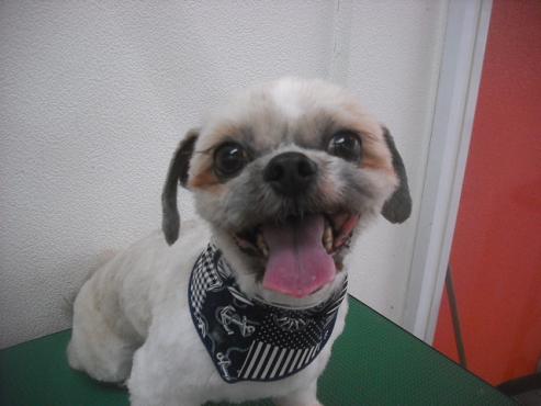 ファイル 3218-1.jpg