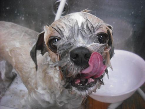 ファイル 3218-2.jpg