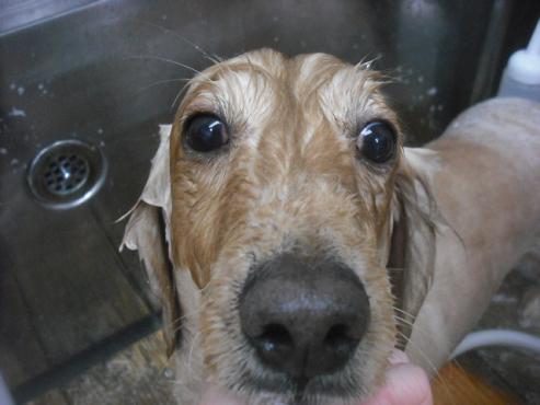 ファイル 3219-2.jpg