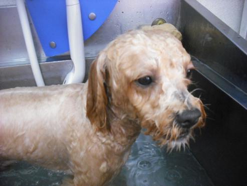 ファイル 322-3.jpg