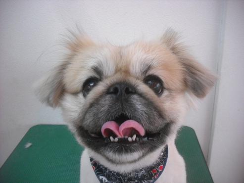 ファイル 3220-1.jpg