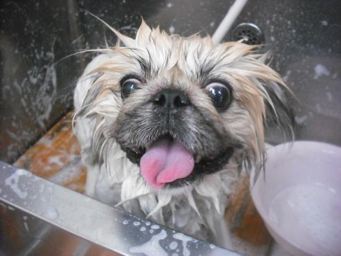 ファイル 3220-2.jpg