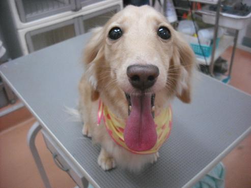 ファイル 3222-1.jpg