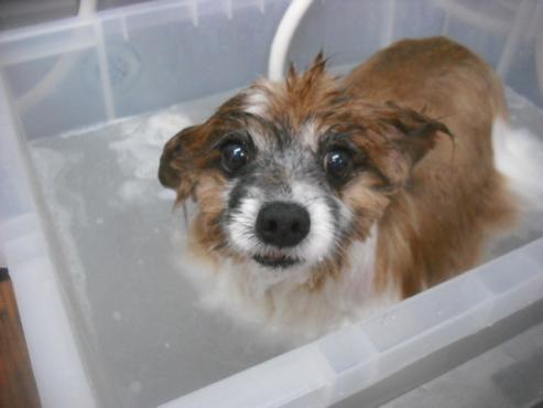 ファイル 3223-2.jpg