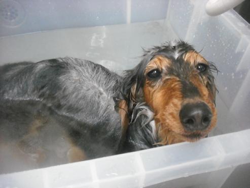 ファイル 3224-2.jpg