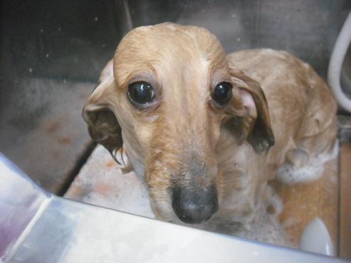 ファイル 3228-2.jpg